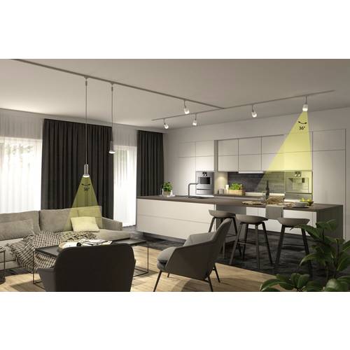 Paulmann 29052 LED EEK E (A - G) E27 Reflektor 5 W Neutralweiß (Ø x H) 63 mm x 101 mm 1 St.