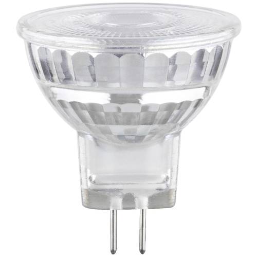 Paulmann 28978 LED EEK E (A - G) GU4 Reflektor 1.8 W Warmweiß (Ø x H) 35 mm x 37 mm 1 St.
