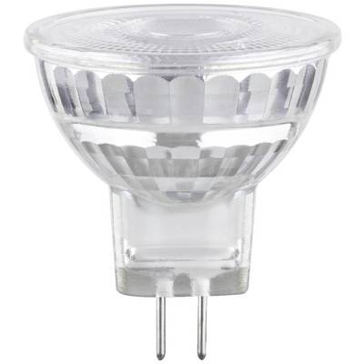 Eine klare LED-Lampe in MR16-Form mit GU5.3-Stiftsockel, typisch für Spotbeleuchtung, auf weißem Hintergrund.