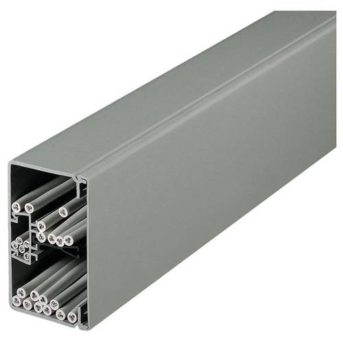 Hager FB6011007030 Kabelkanal (L x B x H) 2000 x 110 x 61 mm 2 m Grau