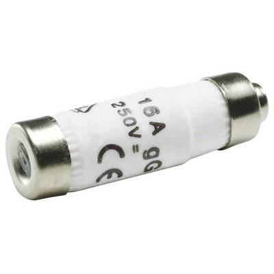 Sicherung mit der Aufschrift '16A 250V', silberne Metallkappen an beiden Enden, zylindrische Form, für elektrische Geräte oder Systeme.