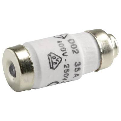 Elektrische Sicherung Typ D02, 35 Ampere, für Spannungen von 100 bis 250 Volt, zylindrische Form mit Metallenden.
