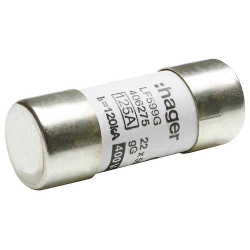 Hager LF599G LF599G Feinsicherung (Ø x L) 22 mm x 58 mm Inhalt 10 St.