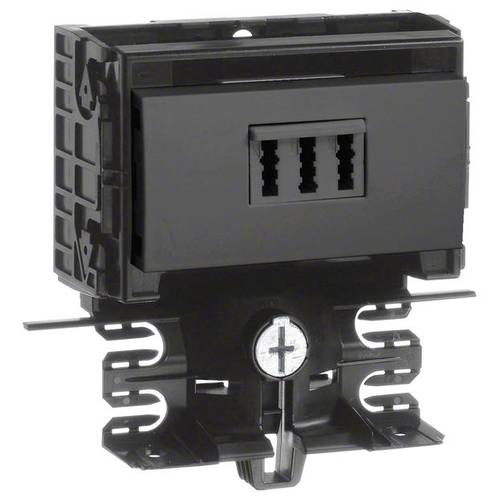 SL200559459011 Elektro-Sockelleisten-Zubehör Tehalit Geräteeinsatz TAE Graphitschwarz 1 St.