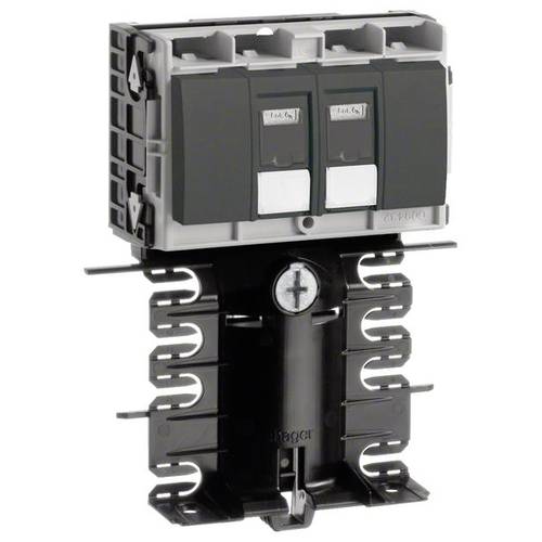 SL201159479011 Elektro-Sockelleisten-Zubehör Tehalit Geräteeinsatz RJ45 Cat.6 Graphitschwarz 1 St.