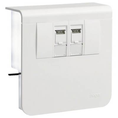 Ein weißes Wandpanel mit zwei Steckdosen, möglicherweise für Ethernet-Verbindungen. Eine kleine schwarze Kabelöffnung ist sichtbar.