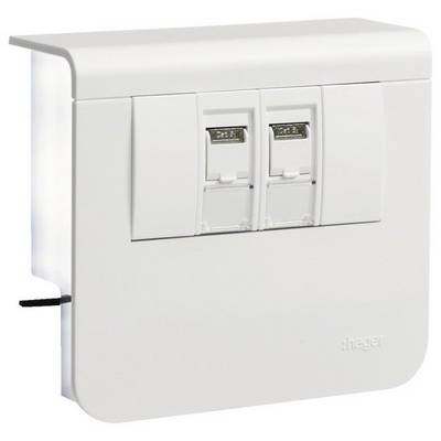 Doppelte Netzwerksteckdose, montiert auf einer weißen Abdeckung. Geeignet für Ethernet-Verbindungen.