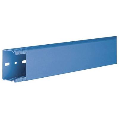 Ein blauer Kabelkanal aus Kunststoff mit rechteckigem Querschnitt. Er hat Befestigungslöcher an der Seite zur Montage.