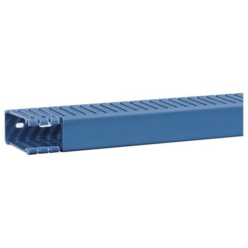 Hager BA6600250BLAUB Verdrahtungskanal (L x B x H) 2 m x 30 mm x 64 mm 2 m Blau