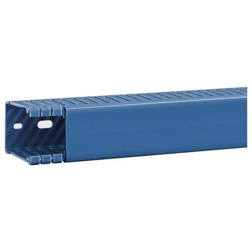 Hager BA6600400BLAUB Verdrahtungskanal (L x B x H) 2 m x 40 mm x 64 mm 2 m Blau