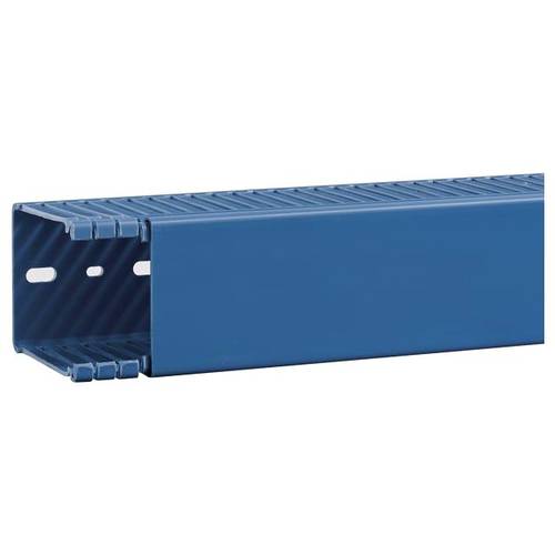 Hager BA6800600BLAUB Verdrahtungskanal (L x B x H) 2 m x 60 mm x 84 mm 2 m Blau