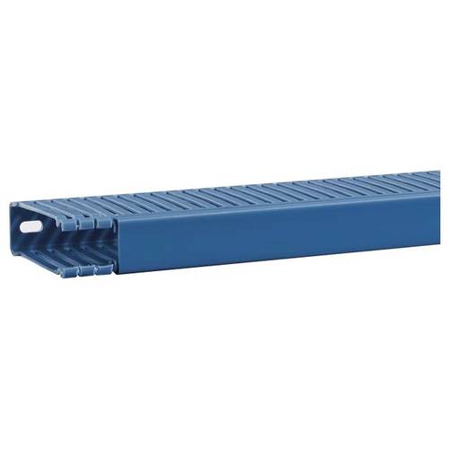 Hager BA6800250BLAUB Verdrahtungskanal (L x B x H) 2 m x 25 mm x 84 mm 2 m Blau