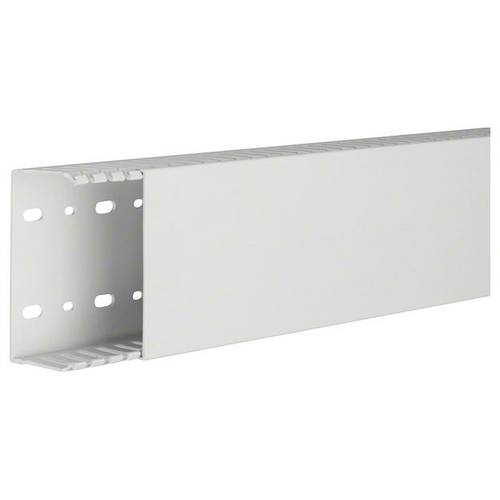 Hager HNG5010007035B Verdrahtungskanal (L x B x H) 2 m x 100 mm x 50 mm 2 m Grau