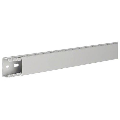 Hager BA725040 Verdrahtungskanal (L x B x H) 2 m x 40 mm x 25 mm 2 m Grau