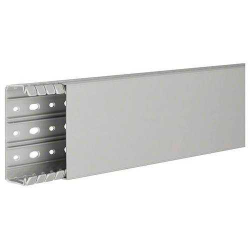 Hager BA740100 Verdrahtungskanal (L x B x H) 2 m x 100 mm x 40 mm 2 m Grau