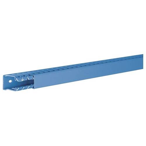 Hager BA740025BL Verdrahtungskanal (L x B x H) 2 m x 25 mm x 40 mm 2 m Blau
