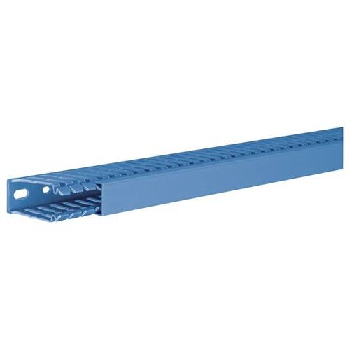 Hager BA760025BL Verdrahtungskanal (L x B x H) 2 m x 25 mm x 60 mm 2 m Blau
