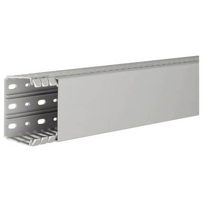 Ein grauer Kabelkanal aus Metall mit seitlichen Lüftungsschlitzen. Verwendet zur sauberen Bündelung und Verlegung von Kabeln.