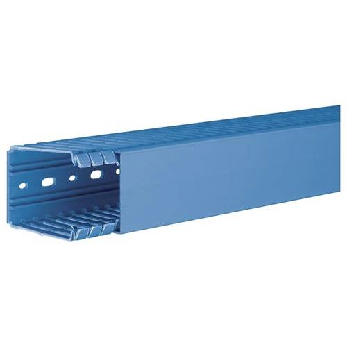 Hager BA780060BL Verdrahtungskanal (L x B x H) 2 m x 60 mm x 80 mm 2 m Blau