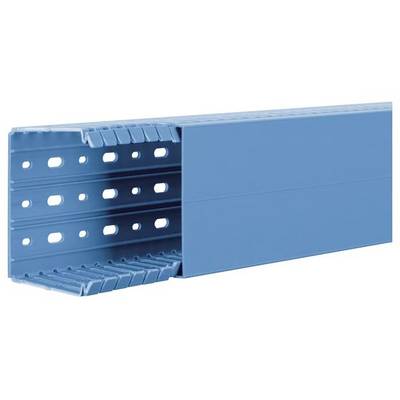 Ein blauer Kabelkanal aus Kunststoff mit perforierter Vorderseite, der Kabelorganisation in elektrischen Installationen ermöglicht.