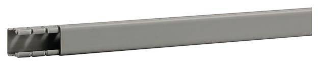 Hager BA61501507030O Verdrahtungskanal (L x B x H) 2 m x 20 mm x 18 mm 2 m Grau