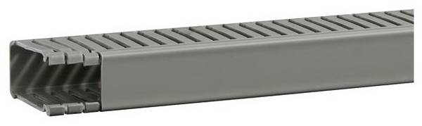 Hager BA66002507030O Verdrahtungskanal (L x B x H) 2 m x 31 mm x 64 mm 2 m Grau