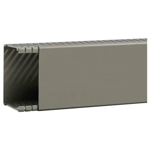 Hager BA66008007030O Verdrahtungskanal (L x B x H) 2 m x 88 mm x 64 mm 2 m Grau