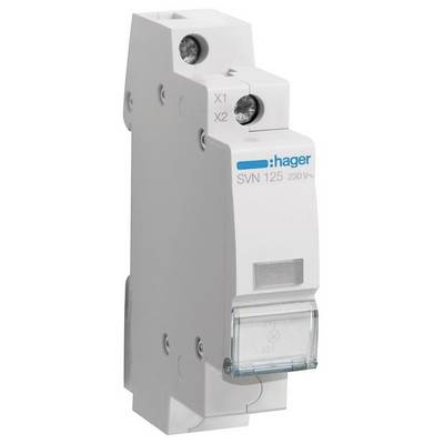 'Schütz mit der Aufschrift Hager SVN 125 230V'