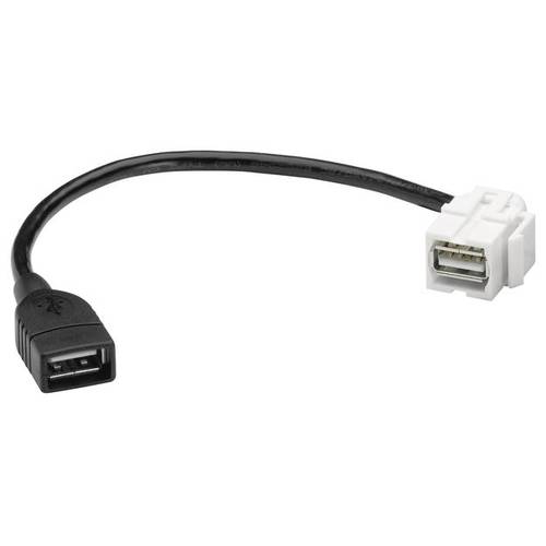 Hager Tehalit USB 2.0-Einbaumodul Keystone 1 St.