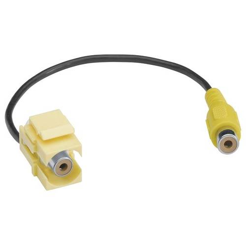 Hager Tehalit Cinch-Einbaumodul Keystone 1 St.