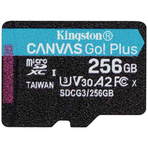 Kingston Canvas Go! Plus microSD-Karte 256 GB Class 10 UHS-I