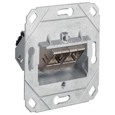 Metallene Netzwerkdose zur Wandmontage mit zwei RJ45-Anschlüssen, geeignet für Ethernet-Verkabelung in Gebäuden.