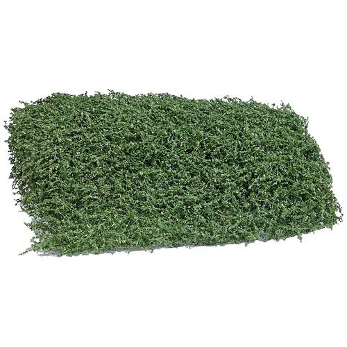 Busch 3598 Strauch Sommer 35 mm