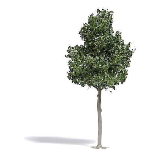 Busch 3799 Baum Buche 1 St.