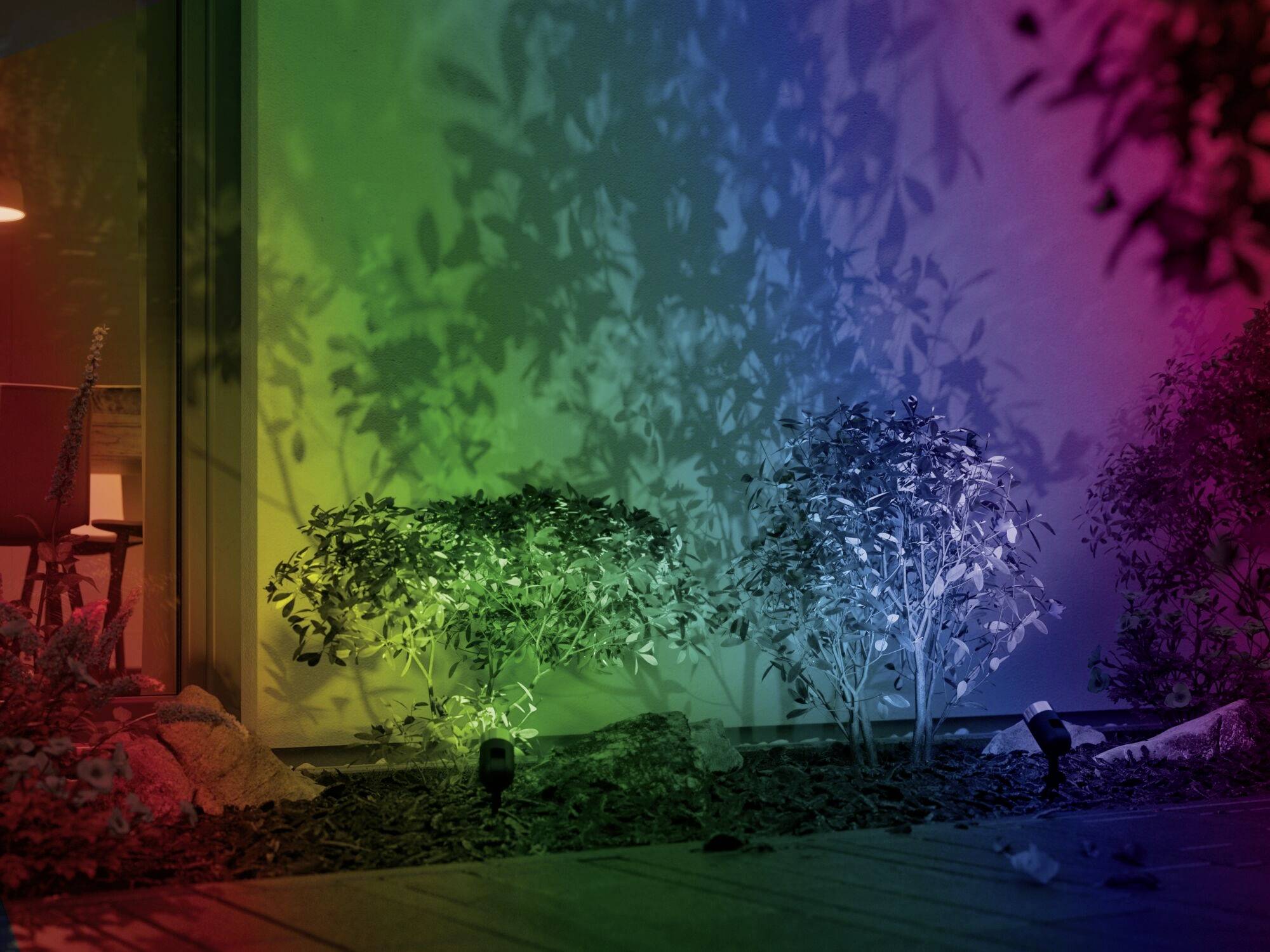 'Ein Garten mit farbig beleuchteten Büschen, die Schatten auf eine Mauer werfen. Die Beleuchtung erzeugt einen Regenbogeneffekt.'