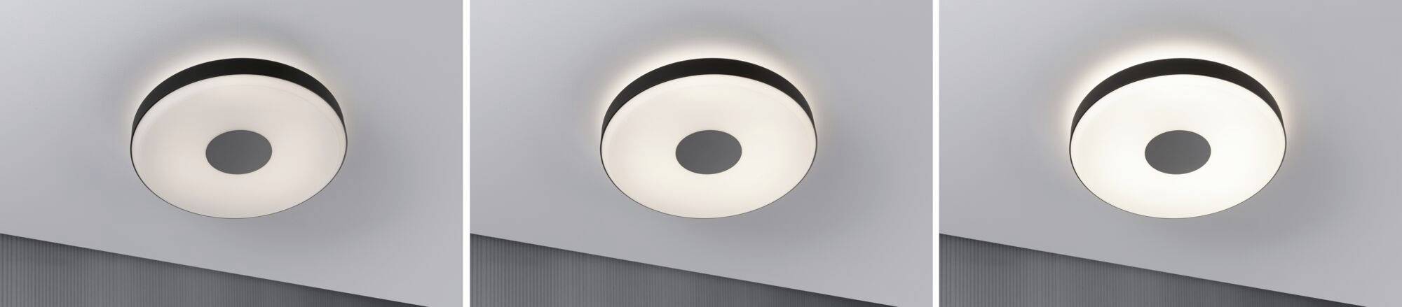 Drei moderne Deckenleuchten in minimalistischem Design; runde Form mit zentralem Kreis, die Beleuchtung erzeugt ein weiches Licht.