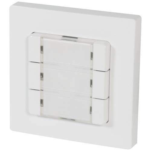 12501006 HOMEPILOT Funk Wandtaster Aufputz