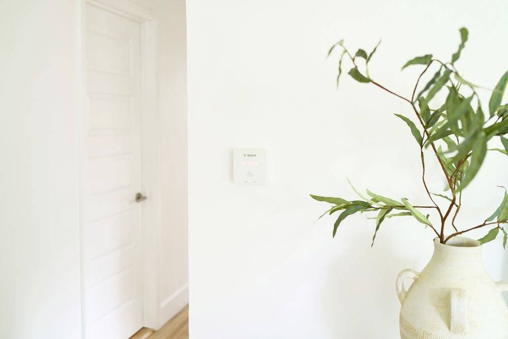 Eine helle, minimalistische Ecke eines Raumes mit einer weißen Tür und einer Pflanze in einer beigen Vase auf einem Tisch.