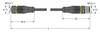 Turck Verbindungsleitung RKS8T-0.3-RSS8T/TEL