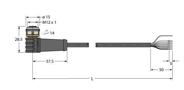 Technische Zeichnung eines M12-Steckverbinders mit Abmessungen. Links: Anschluss, Länge 37,5 mm. Rechts: abisolierte Kabelenden, Abstände markiert.