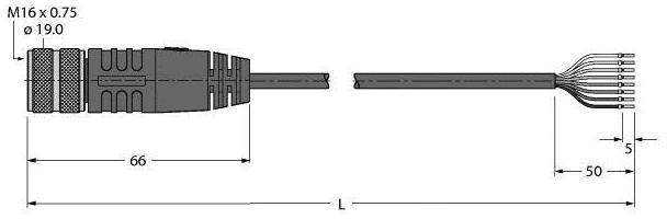 Diagramm eines M16 x 0,75 Steckers mit Abmessungen: Gesamtlänge 66 mm, zusätzlicher Kabelabschnitt 50 mm, Steckerkopf 19 mm.