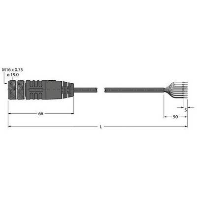 Diagramm eines M16 x 0,75 Steckers mit Abmessungen: Gesamtlänge 66 mm, zusätzlicher Kabelabschnitt 50 mm, Steckerkopf 19 mm.