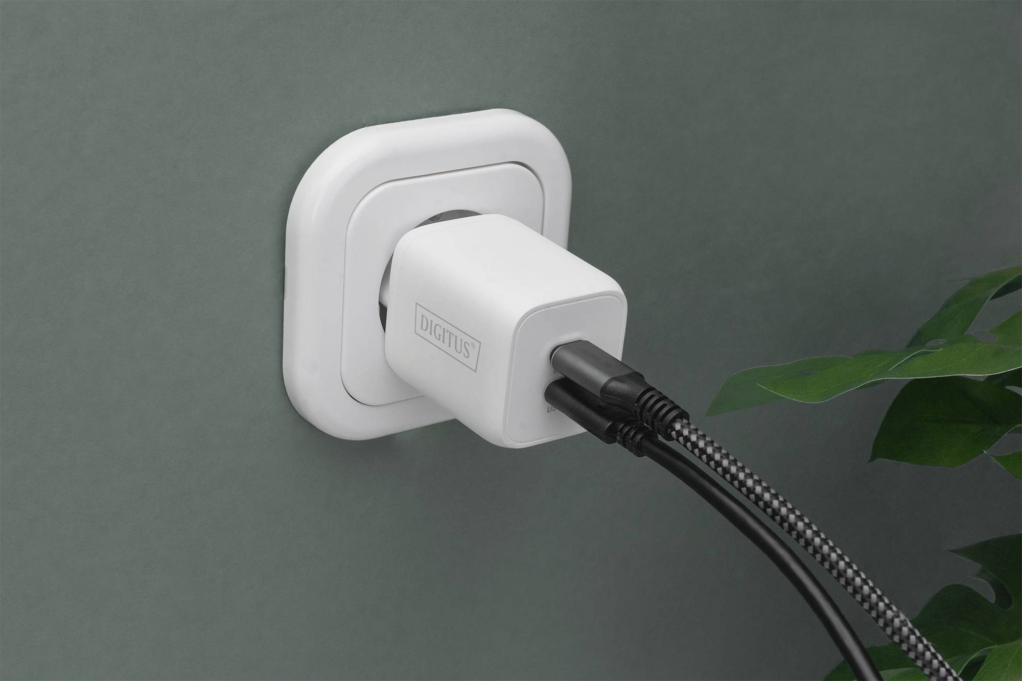 Ein weißer Adapter mit USB-Kabel ist in einer Wandsteckdose eingesteckt. Eine Pflanze ist im Hintergrund sichtbar.