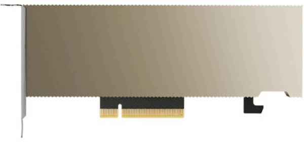 PNY - NVIDIA A2 - GPU-Rechenprozessor - A2 - 16 GB GDDR6