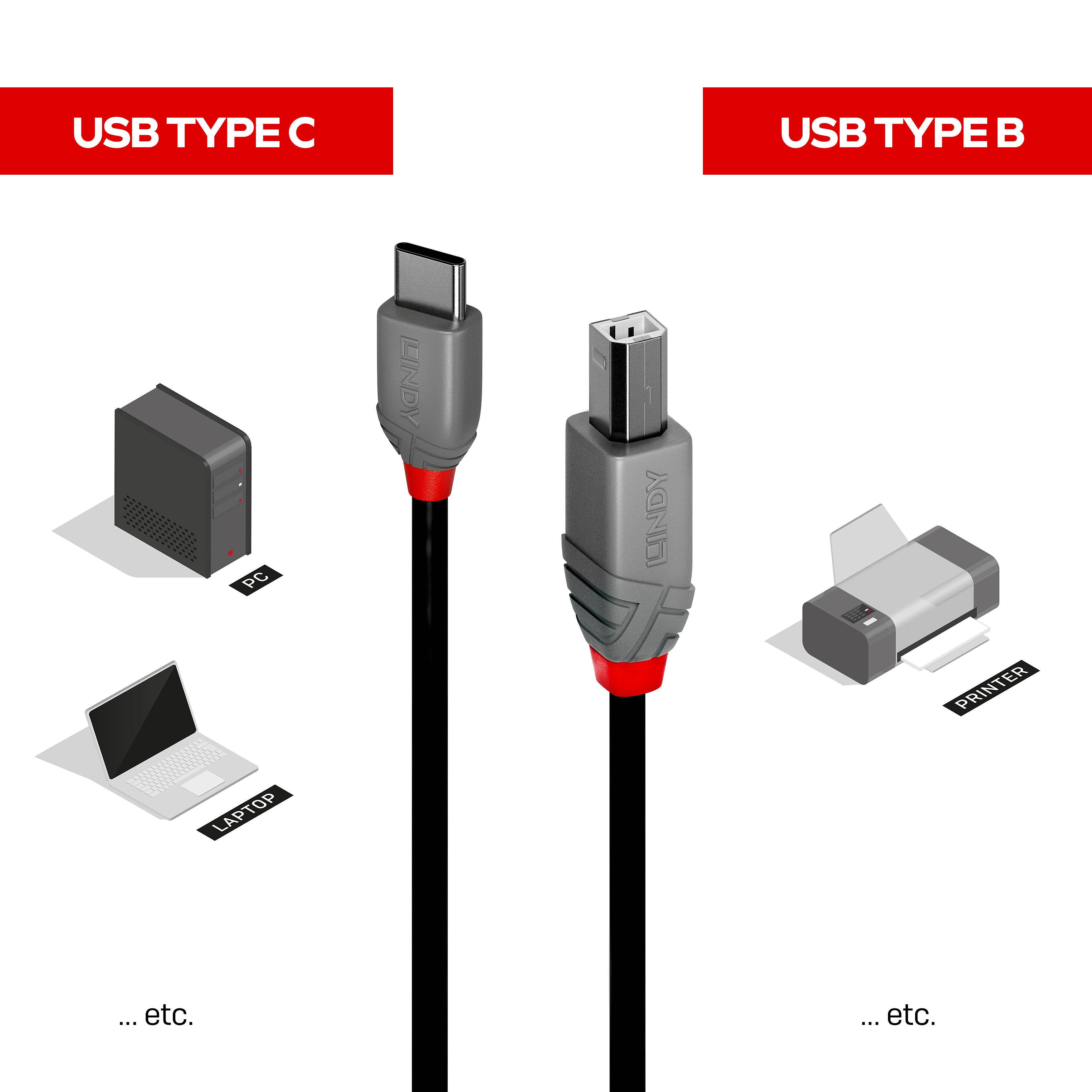 'USB Type C und USB Type B Stecker im Vergleich. USB Type C für Laptop; USB Type B für Drucker geeignet. Weitere Anwendungen gezeigt.'