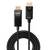 Ein schwarzes Kabel mit einem DisplayPort-Anschluss oben und der Aufschrift 'LINDY DISPLAY' und 'SOURCE' auf den Steckern.
