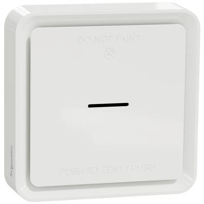 Feuermelder mit Aufschrift 'DO NOT PAINT' und 'PUSH TO TEST / HUSH'. Rechteckige, weiße Form mit minimalistischem Design.