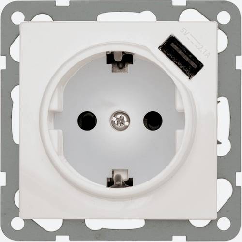 PEHA by Honeywell Einsatz USB-Steckdose Weiß 244061 1 St.