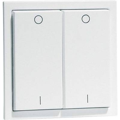 Weißer zweifacher Lichtschalter an einer Wand montiert, beide Schalter in neutraler Position.