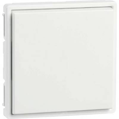 Ein weißer Lichtschalter an einer Wand, standardmäßiges Design, quadratische Form, geeignet für Innenräume.
